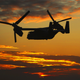 Illustration for article titled 30 Fascinating Photos Of HMX-1s Ospreys Working For The White House